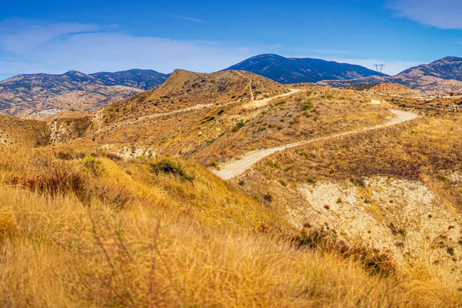 IT for Santa Clarita businesses
